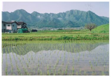 塩田のため池